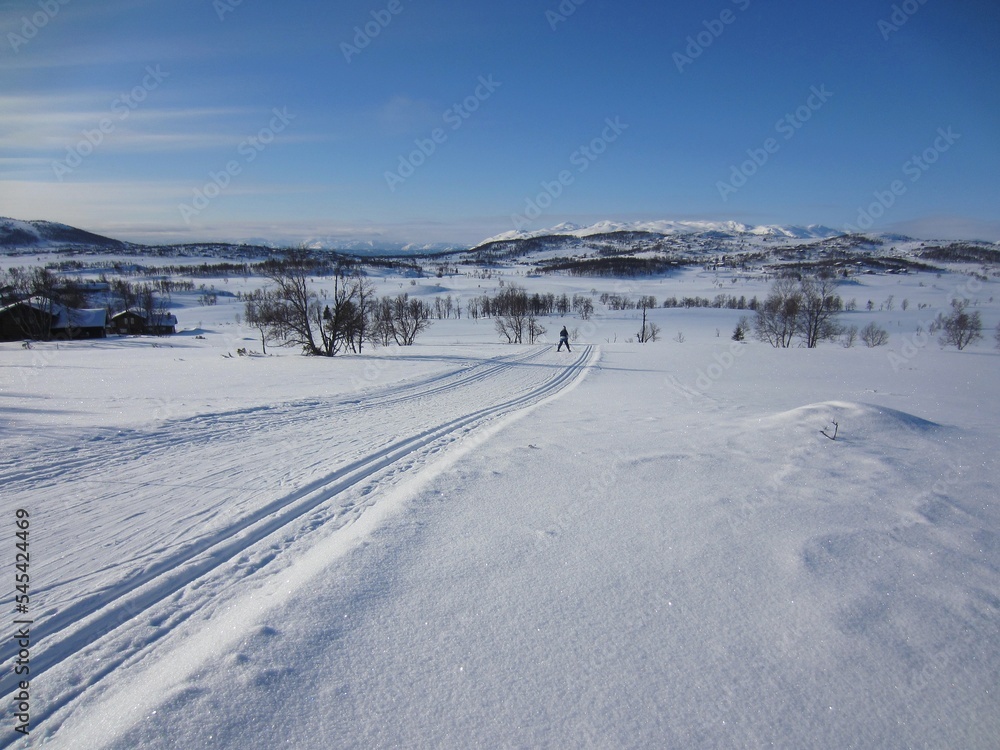Scenic winter landscape in Rauland, Norway, with cross-country skiing track on a beautiful cold sunny day with blue sky