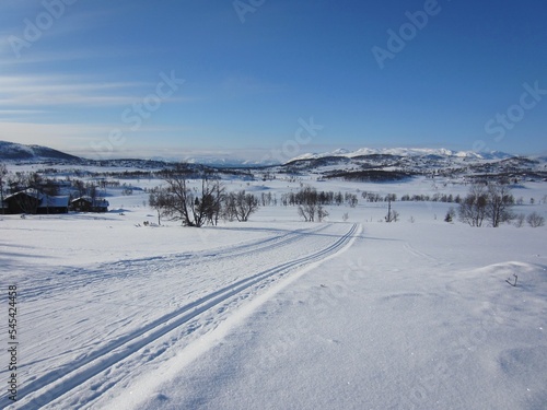 Scenic winter landscape in Rauland, Norway, with cross-country skiing track on a beautiful cold sunny day with blue sky
