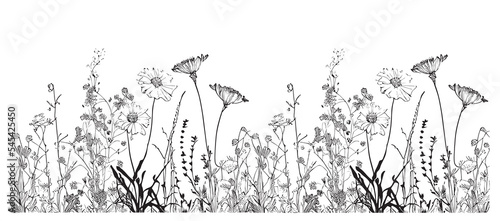 Wild flowers in the field border sketch hand drawn Vector illustration.