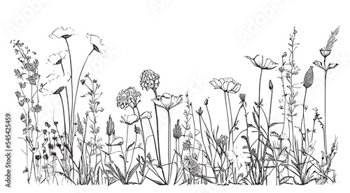 Wild flowers in the field hand drawn sketch Vector illustration