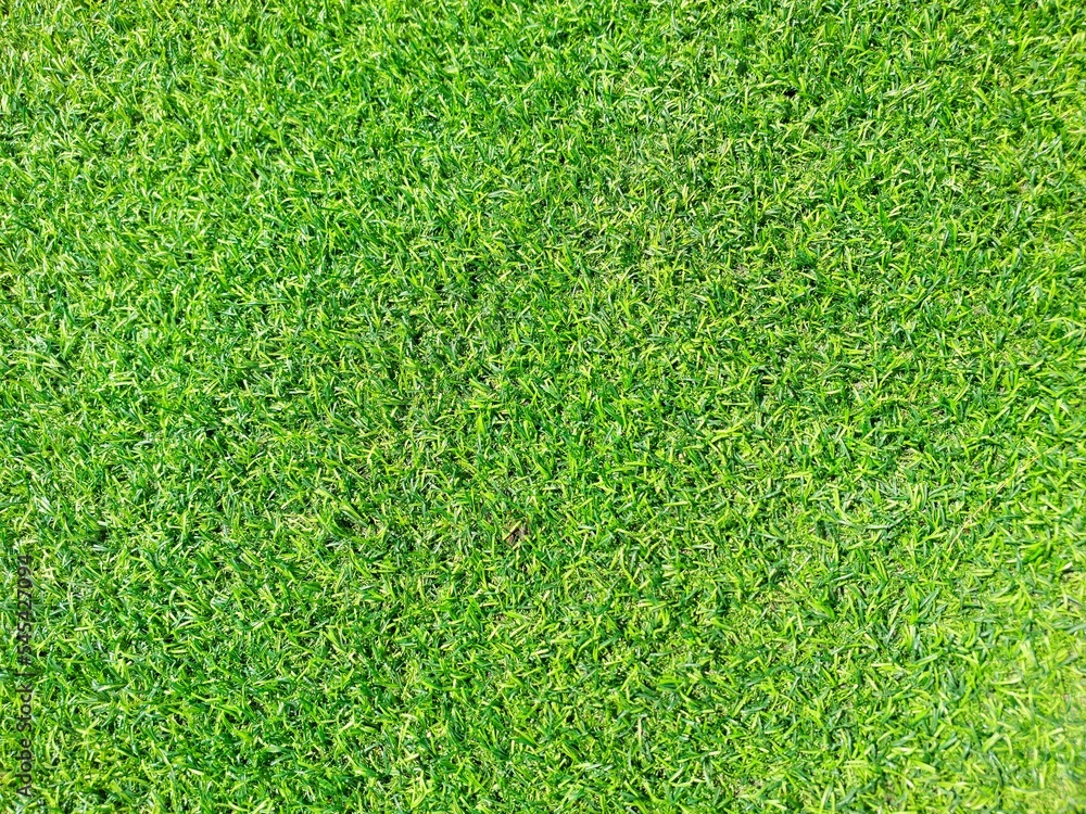 Fototapeta premium The soft artificial grass is used for the background concept.