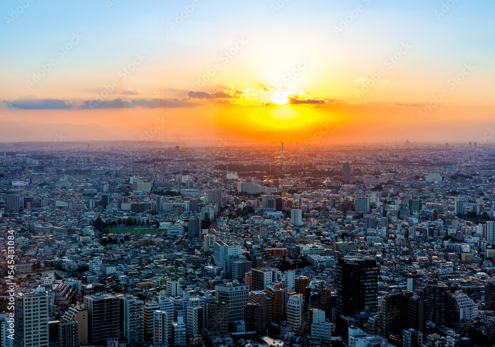 Skyscrapers towering over the cityscape of Nishi-Shinjuku, Tokyo, Japan at sunset