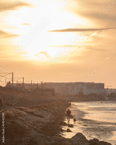 Photography Vertical shot of the golden sunset in the Dublin bay