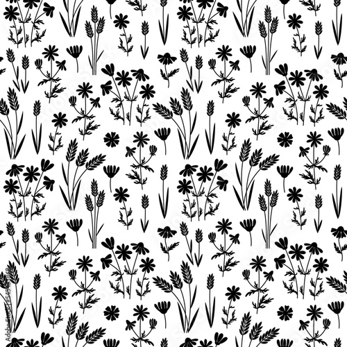 Daisy seamless pattern. Black chamomile design. Monochrome summer print. Simple graphic ornament.