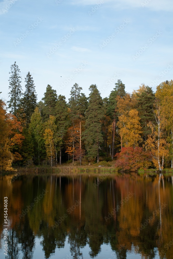 Calm lake and autumnal forest in the countryside
