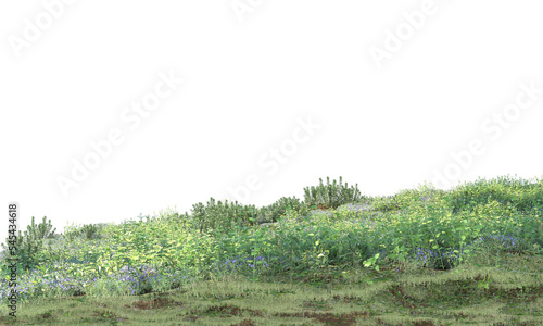 Various types of flowers grass bushes shrub and small plants for foreground