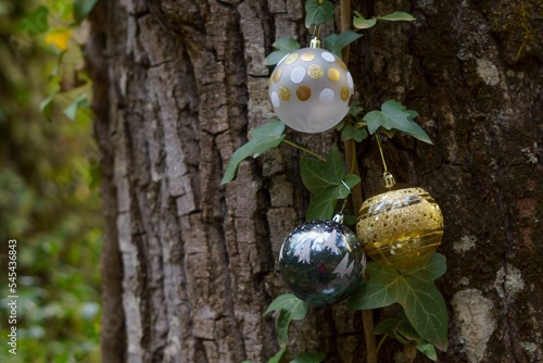 christmas ornament balls in the forest vegetation