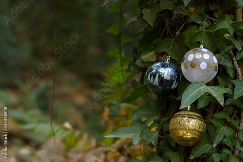 christmas ornament balls in the forest vegetation