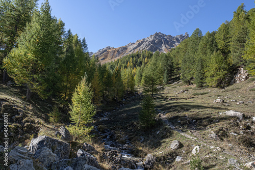 View of Bois des Ayes Biological Nature Reserve with Lac de I'Orceyrette in autumn, Briancon, France