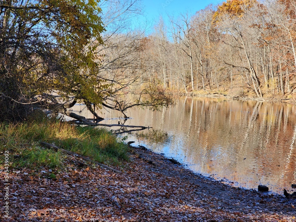 river in autumn