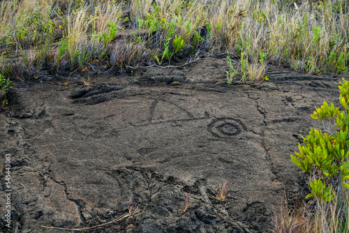 Prehistoric carving on a lava rock part of the Pu'u Loa Petroglyphs along the Chain of Craters Road in the Hawaiian Volcanoes National Park on the Big Island of Hawaii in the Pacific Ocean photo