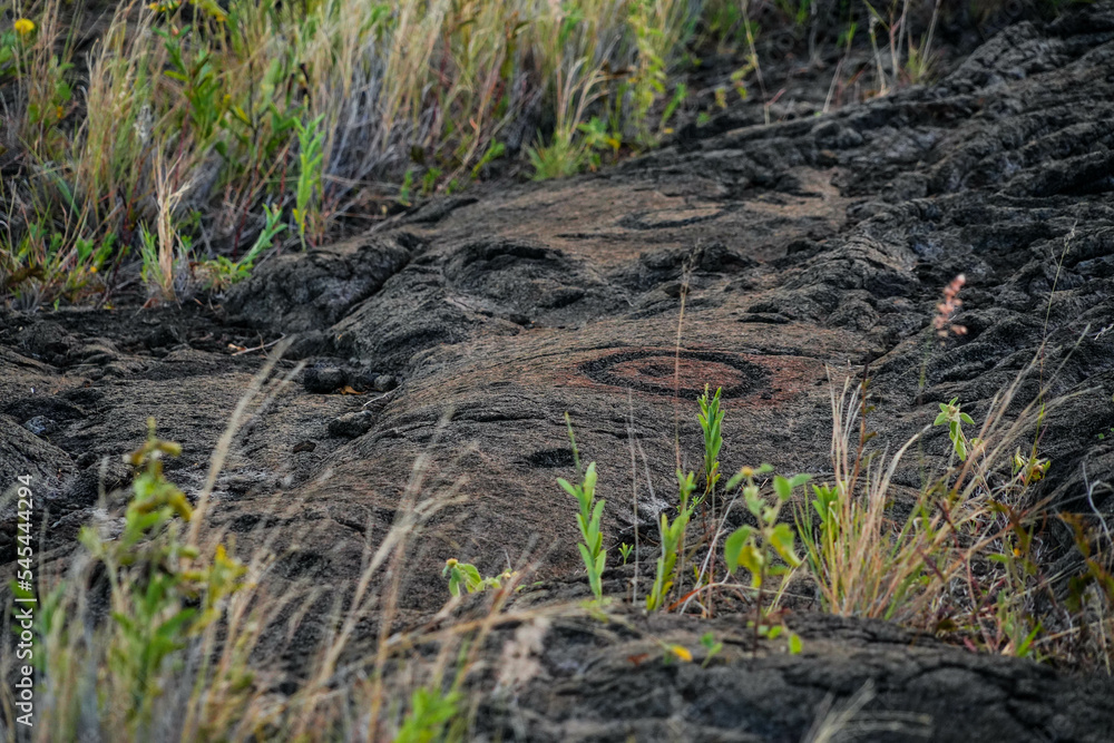 Prehistoric carving on a lava rock part of the Pu'u Loa Petroglyphs along the Chain of Craters Road in the Hawaiian Volcanoes National Park on the Big Island of Hawaii Prehistoric carving on a lava rock part of the Pu'u Loa Petroglyphs along the Chain of Craters Road in the Hawaiian Volcanoes National Park on the Big Island of Hawaii