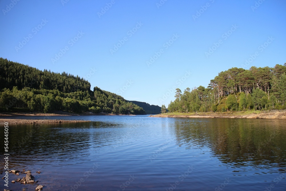 Sunny day at the lake with a cloudy blue sky