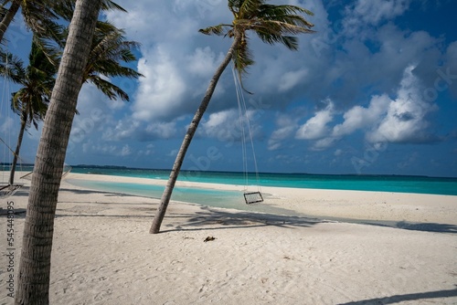 swing on a palm tree on a lonely dream beach © Pixelmaler/Wirestock Creators