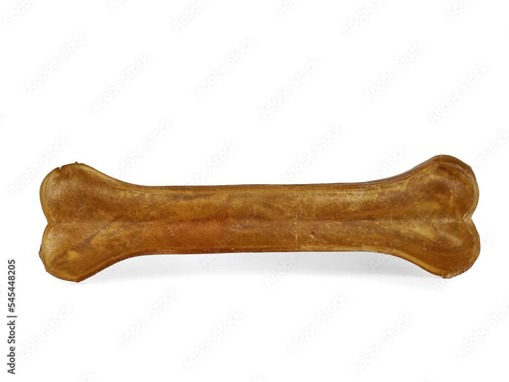 Dog chewing bone isolated on white background Dog chewing bone isolated on white background