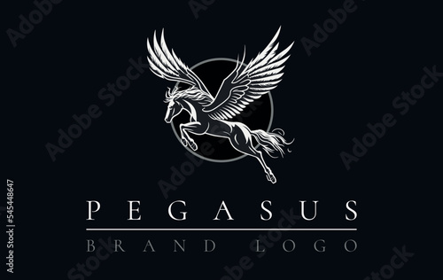 Pegasus Vector Logo Template, Pegasus shape design