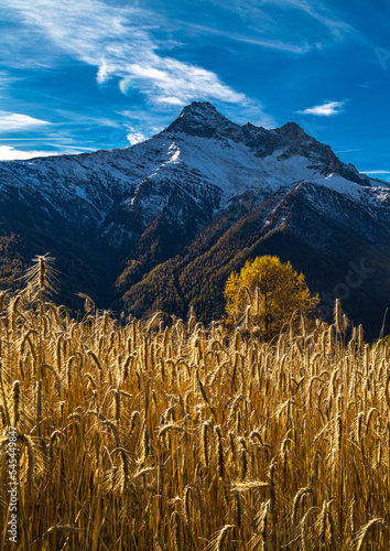 I tesori della Valle Varaita: il piccolo borgo di Bellino a cavallo tra il Monviso ed il Pelvo d’Elva photo