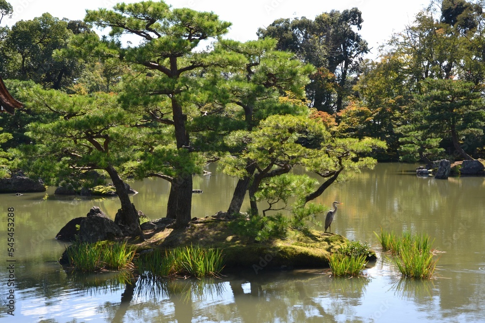Ταπετσαρία Trees in the lake of the Kinkakuji Temple, Kyoto