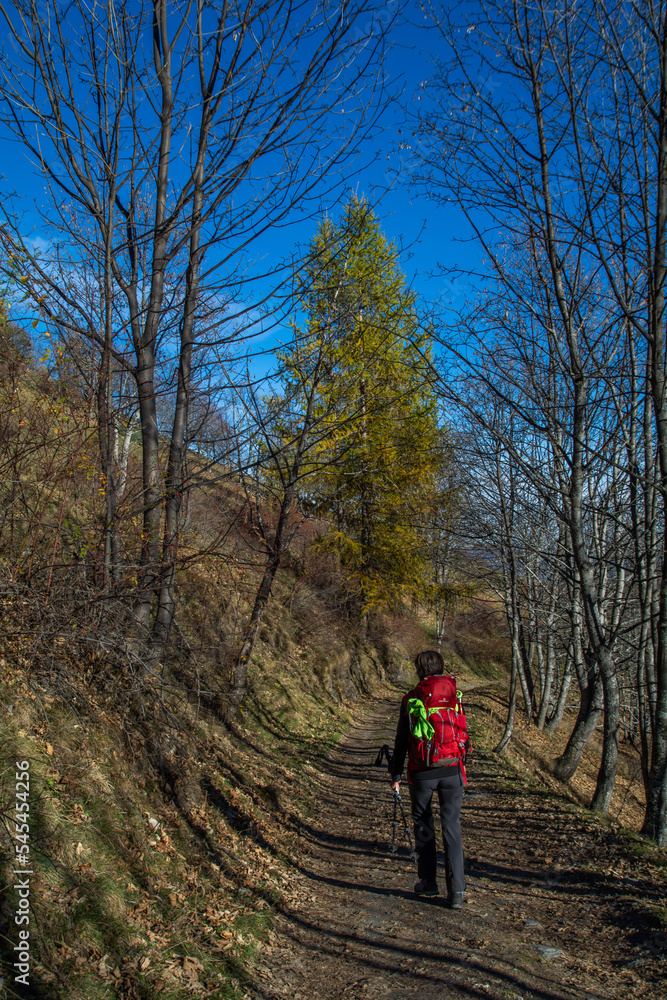 Obraz premium I tesori della Valle Varaita: il piccolo borgo di Bellino a cavallo tra il Monviso ed il Pelvo d’Elva