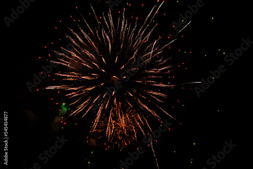Explosions of fireworks in purple and gold over a park party. Before the black night sky
