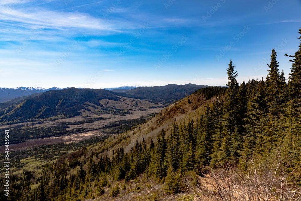 Beautiful landscape with forested hills and larch trees against the bright sky