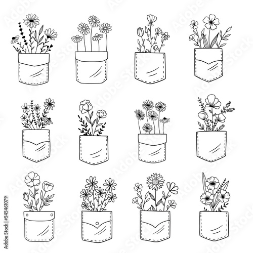 Set of  flowers in pocket. Bouquet flowers. Pocket with wildflowers. Sketch vector illustration. Good for posters, t shirts, postcards.
