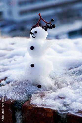 Vertical closeup of a snowman with blackberries on the head