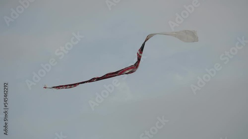 Balinese Traditional Kites JANGGAN and BEBEAN on Bali Kite Festival Summer Sky Slow Motion photo