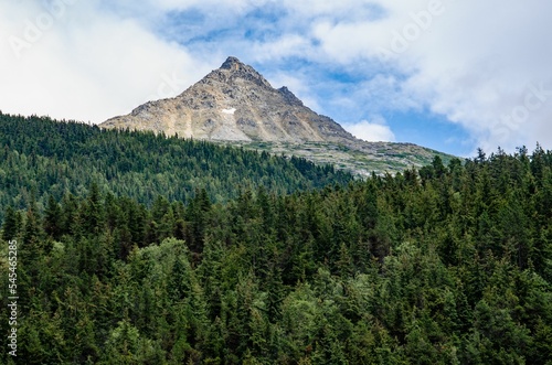 View of the green forest with a rocky mountain in the background.