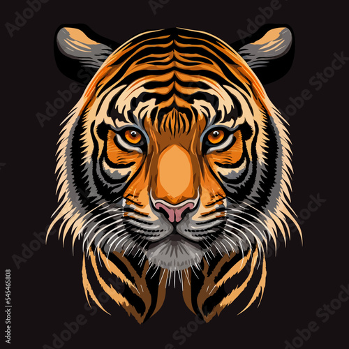 Colourful illustration of a tiger head