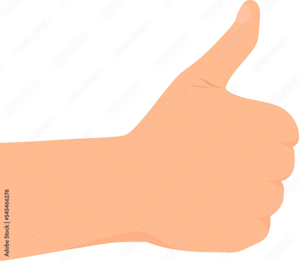 Hand making thumb up gesture. View from the back side of hand. Transparent background. Flat vector illustration.