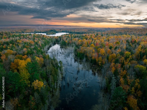Scenic river in the middle of a colorful fall forest at sunset © Ben Coull-neveu/Wirestock Creators