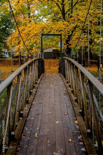 Vertical shot of a wooden walking bridge in an autumn park