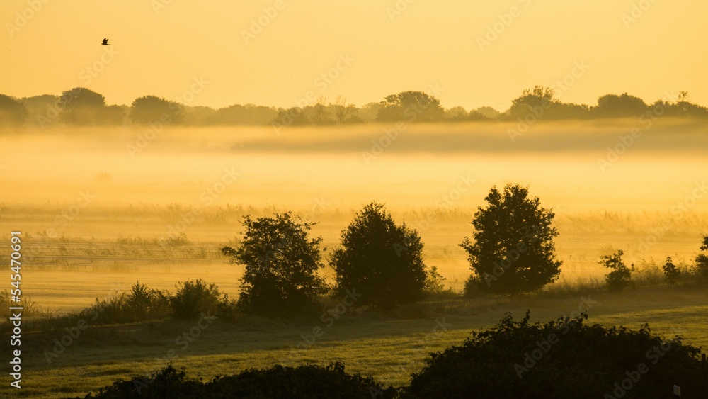 Fototapeta premium Beautiful soft sunrise over the misty field