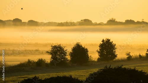 Beautiful soft sunrise over the misty field