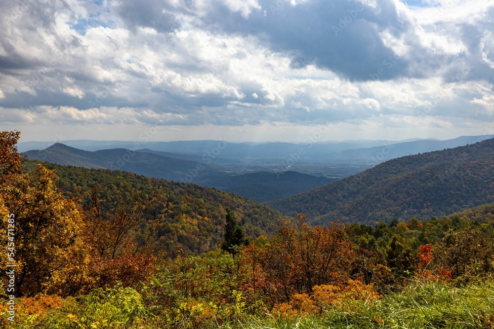 Vertical shot of the Shenandoah National Park with forests and hills during fall on a cloudy day