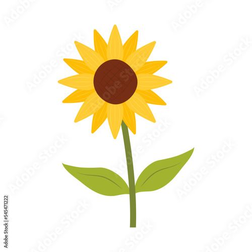 Sunflower icon isolated on white background vector illustration. Cute hand drawn flower.