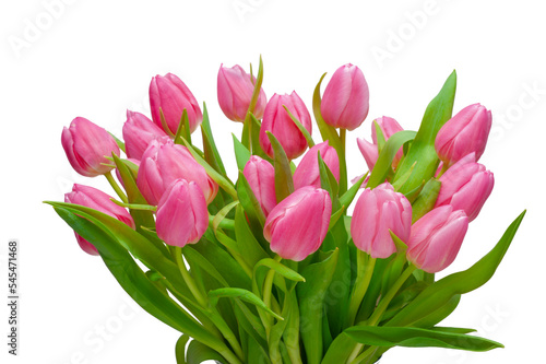  Tulpen als Blumenstrauß