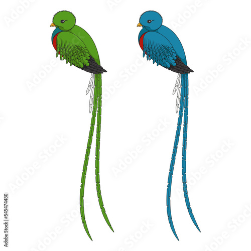 Color illustration with quetzal bird. Isolated vector objects on a white background.