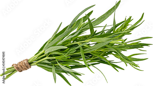 Fotografiet Tarragon bunch isolated on white background
