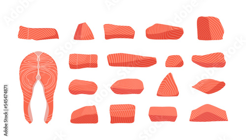 Salmon collection. Fresh raw red fish slices cartoon flat style, healthy atlantic trout steaks tail fin seafood gourmet meal. Vector isolated collection of salmon raw fresh illustration
