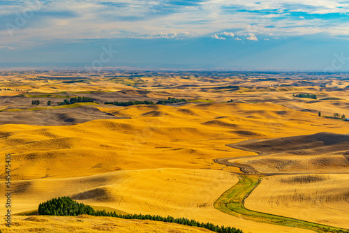 Amazing yellow hills. Plowed fields, an incredible drawing of the earth. 
 Palouse wheat fields, summer view. Steptoe Butte State Park, Eastern Washington, in the northwest United States.