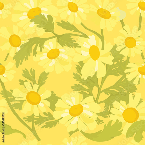 Seamless pattern with Feverfew spurs and flowers