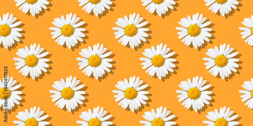 Daisy flower on sunny orange background Daisy flower on sunny orange background