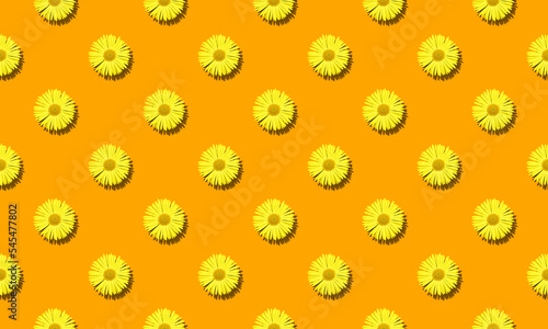 Fototapeta Naklejka Na Ścianę i Meble -  Floral seamless pattern with yellow daisy