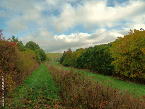 Wiese und Wald im Oktober in herbstlichen Farben auf dem Premium-Wanderweg Michels Vitaltour im Naturpark Soonwald-Nahe bei Stromberg im Landkreis Bad Kreuznach