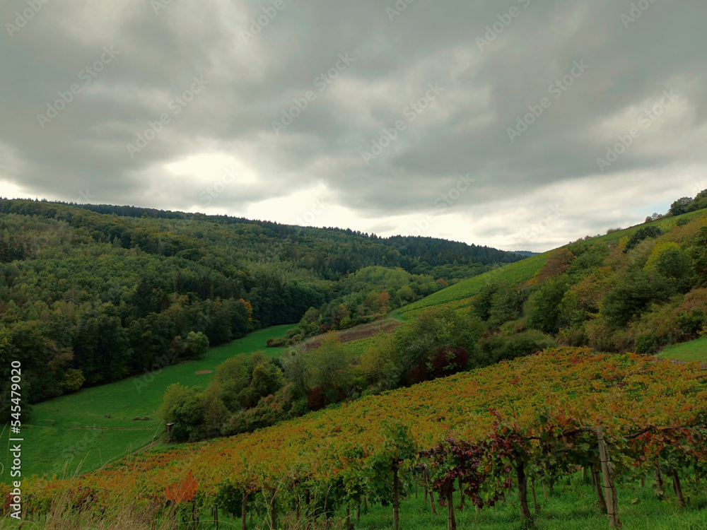 Weinberge und Wald im Herbst am Rande des Premium-Wanderweg Michels Vitaltour im Naturpark Soonwald-Nahe bei Schweppenhausen im Landkreis Bad Kreuznach.