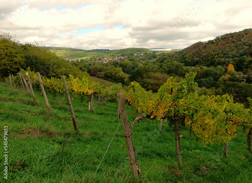 Blick auf Oberw  rzbach  einen Stadtteil von St. Ingbert im Saarland vom Premium-Wanderweg H  ttenwanderweg.