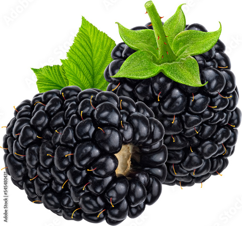 Photography Blackberry isolated