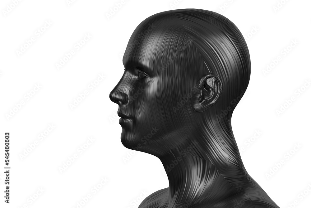 3d illustration of a male bald black head on a white background. Dummy.